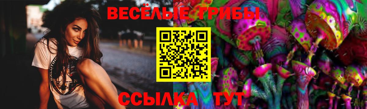 Псилоцибиновые грибы Psilocybe  Вход с VPN  Верхний Уфалей 